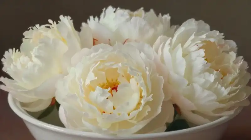 Delicate cream peonies glow softly in a white porcelain bowl
