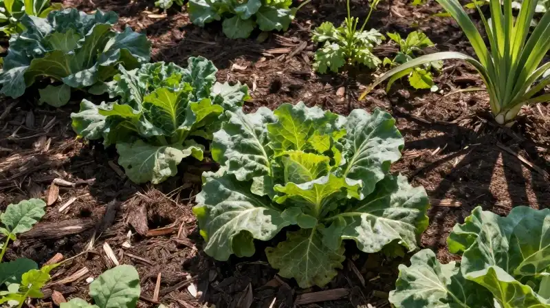 Lush greens and dark mulch sparkle under scattered dappled sunlight