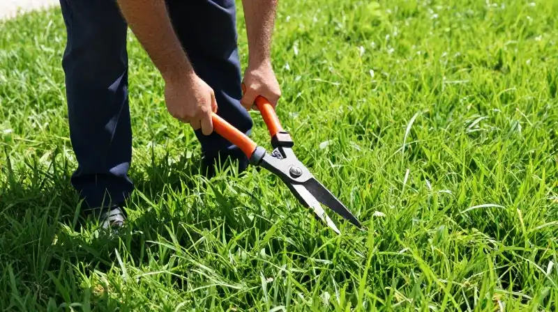 A worker shears vibrant green Florida grass under bright sun