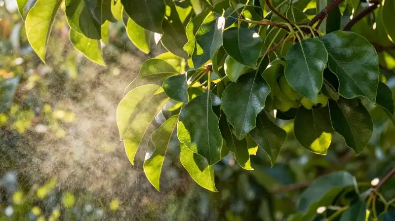 Vibrant green leaves shimmer in dramatic golden hour mist