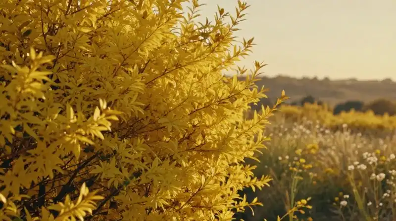 Golden sunlight bathes a vibrant yellow hedge with blurred wildflowers