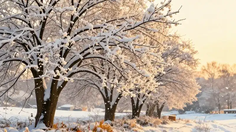 Golden light touches snow-dusted spring blossoms under gentle snowfall