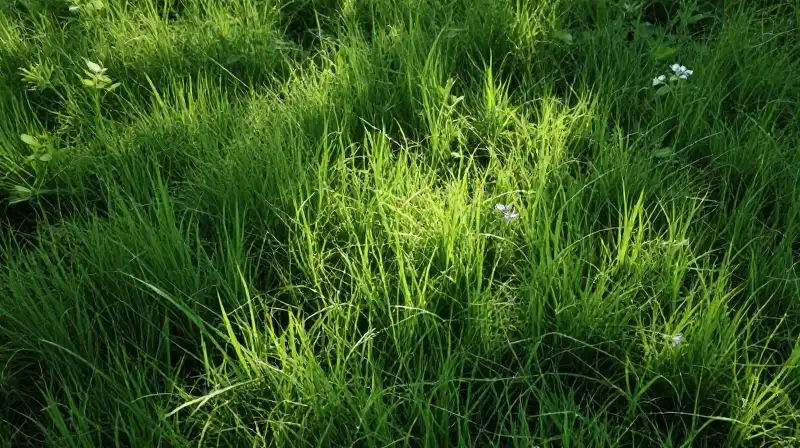 Lush emerald grassland surrounds a clear spring under dappled sunlight