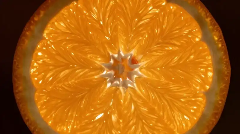 Intricate orange radial structure highlighted by sharp, dramatic light